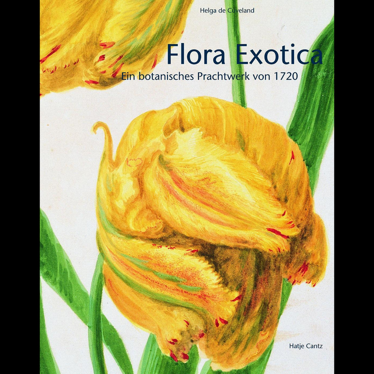 Coverbild Flora Exotica