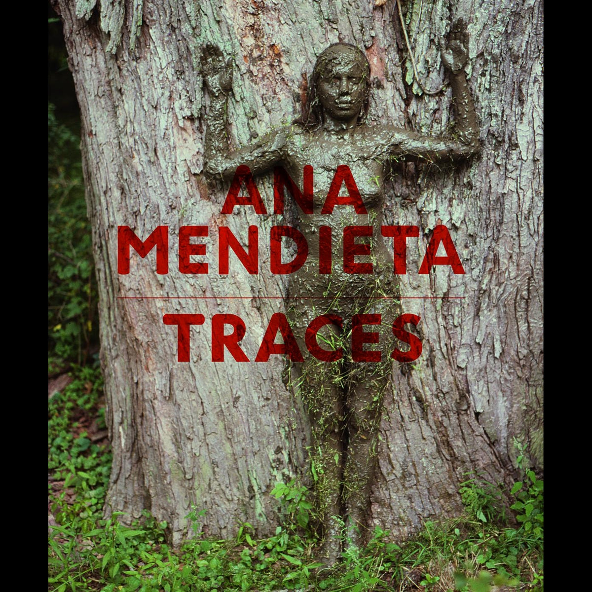 Coverbild Ana Mendieta