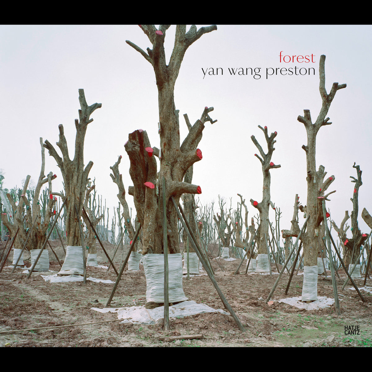 Coverbild Yan Wang Preston