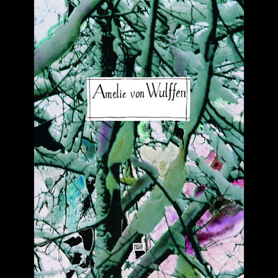 Cover Amelie von Wulffen