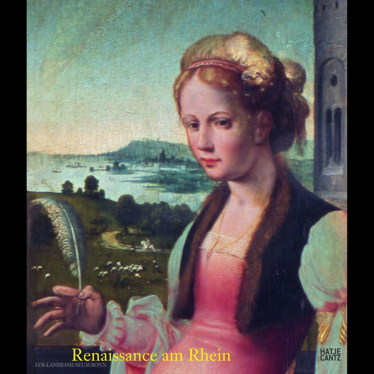Coverbild Renaissance am Rhein