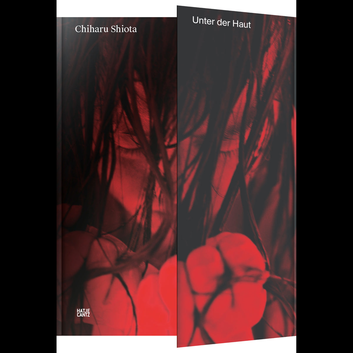 Coverbild Chiharu Shiota