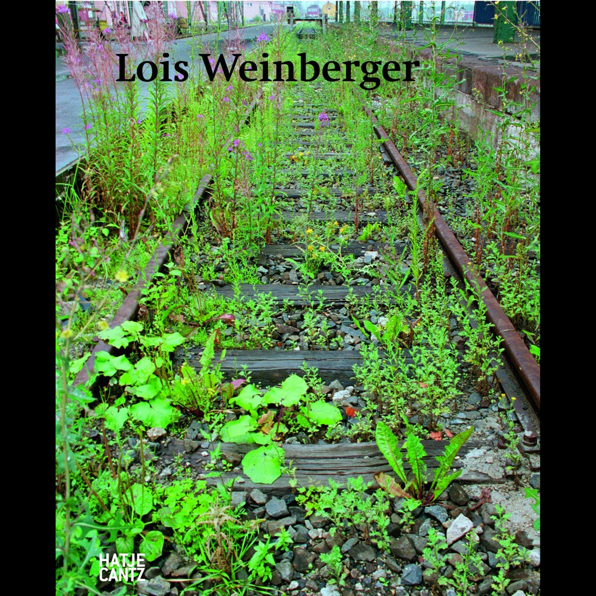 Coverbild Lois Weinberger