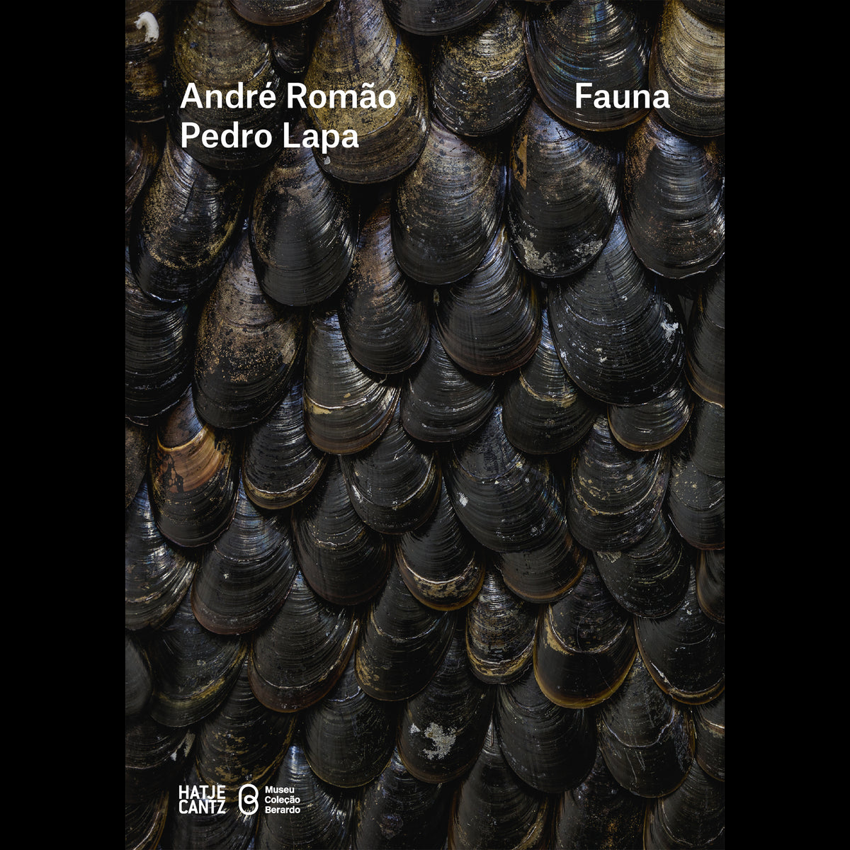 Coverbild André Romão