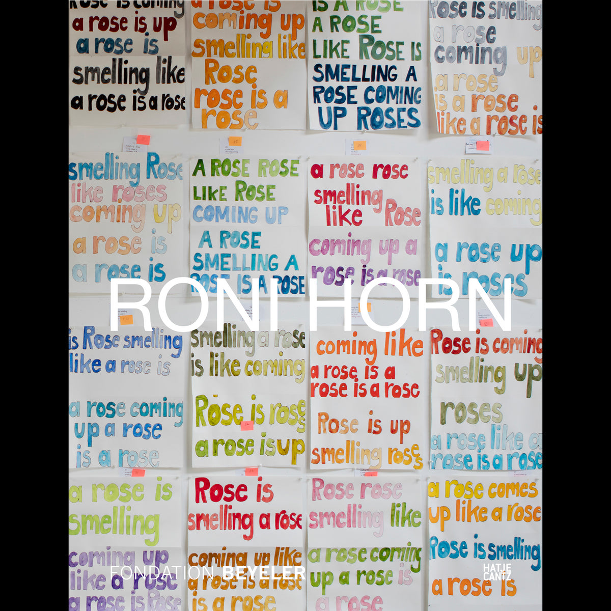 Coverbild Roni Horn