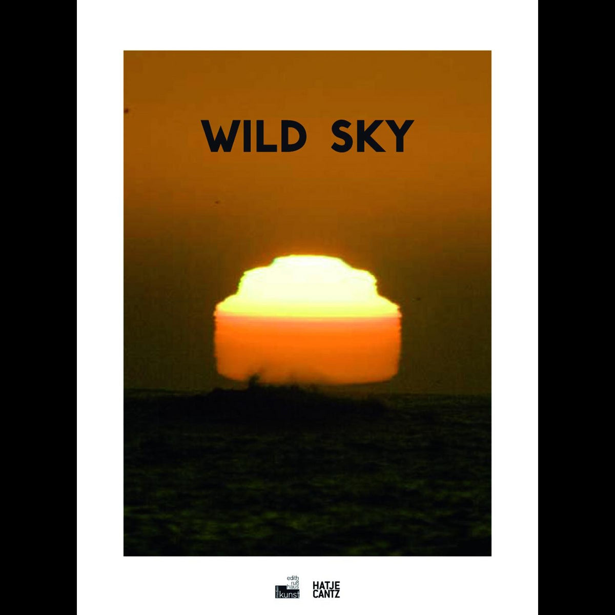 Coverbild Wild Sky