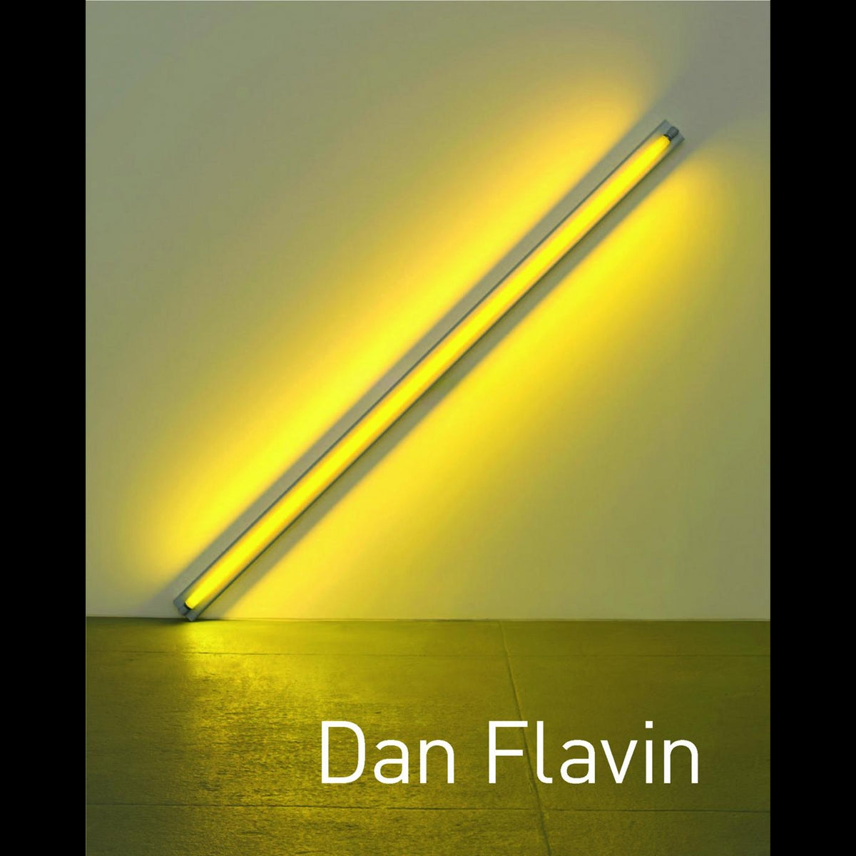 Coverbild Dan Flavin