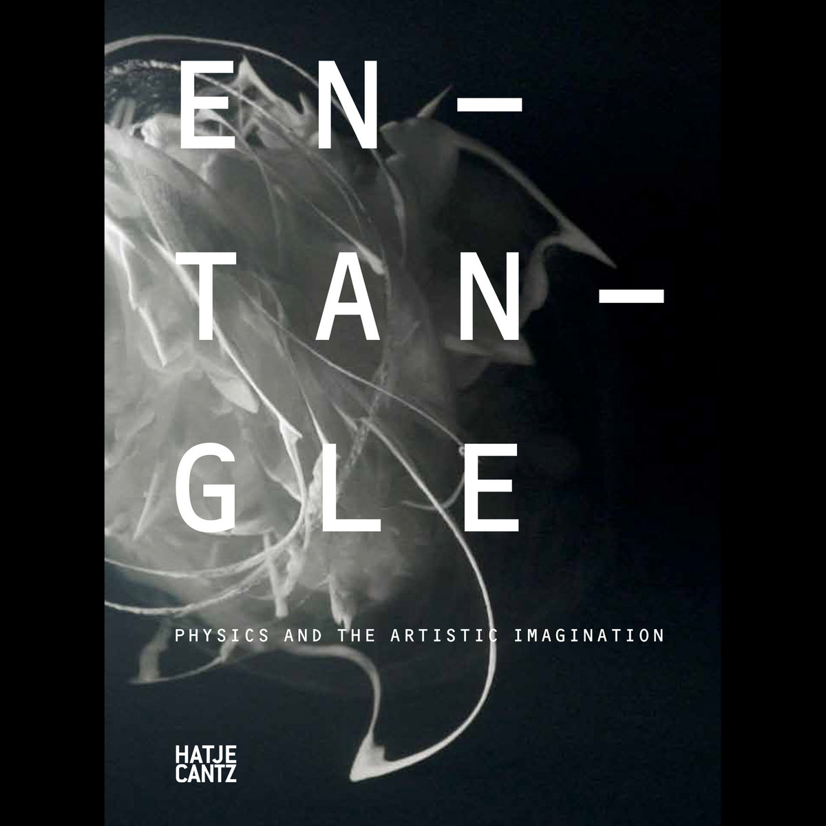 Coverbild Entangle