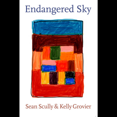 Cover Endangered Sky