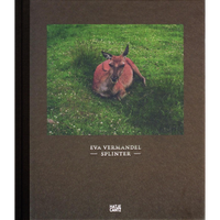 Das dunkelbraune Buchcover von Splinter von Eva Vermandel zeigt ein Foto eines rotbraunen Kängurus, das auf einer grünen Wiese liegt und in die Kamera blickt.