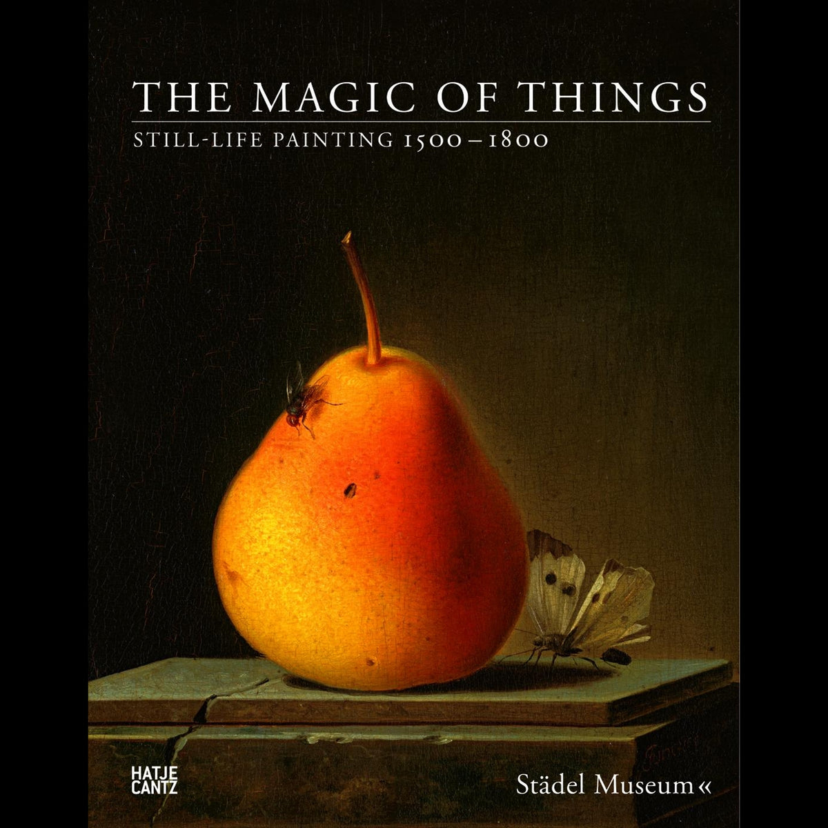 Coverbild The Magic of Things