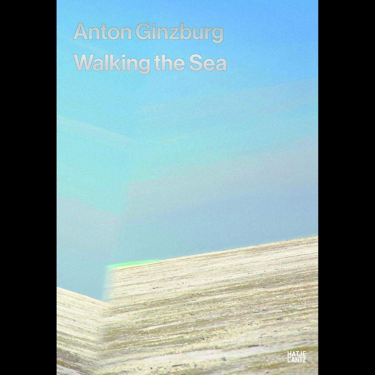 Coverbild Anton Ginzburg