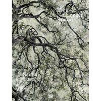 Das Buchcover von Santeri Tuoris Time Is No Longer Round zeigt eine Fotografie von dunklen, knorrigen Baumästen, von unten gegen einen hellen Himmel gesehen.