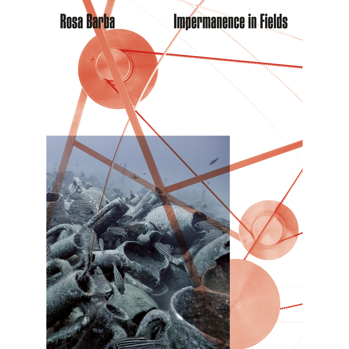 Coverbild Rosa Barba. Impermanence in Fields