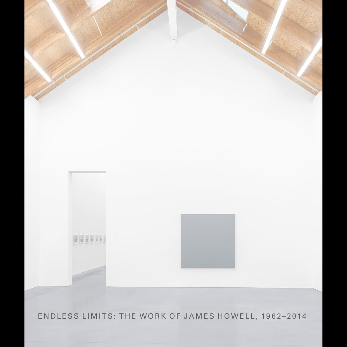 Coverbild Endless Limits: The Work of James Howell, 1962-2014