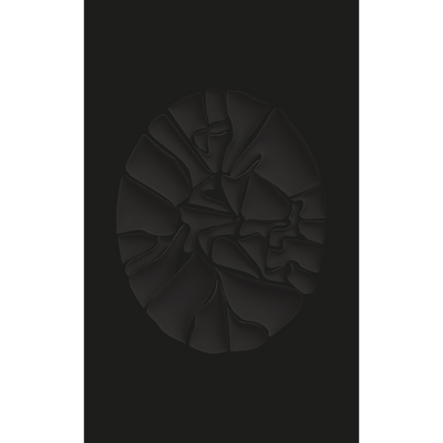 Cover Haegue Yang. The Great Forgetfulness