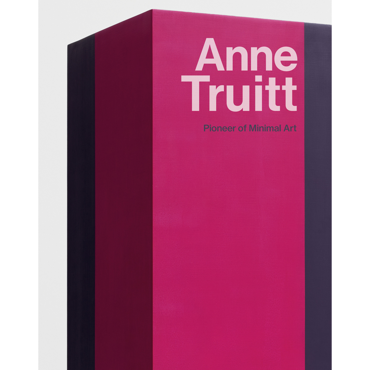 Coverbild Anne Truitt