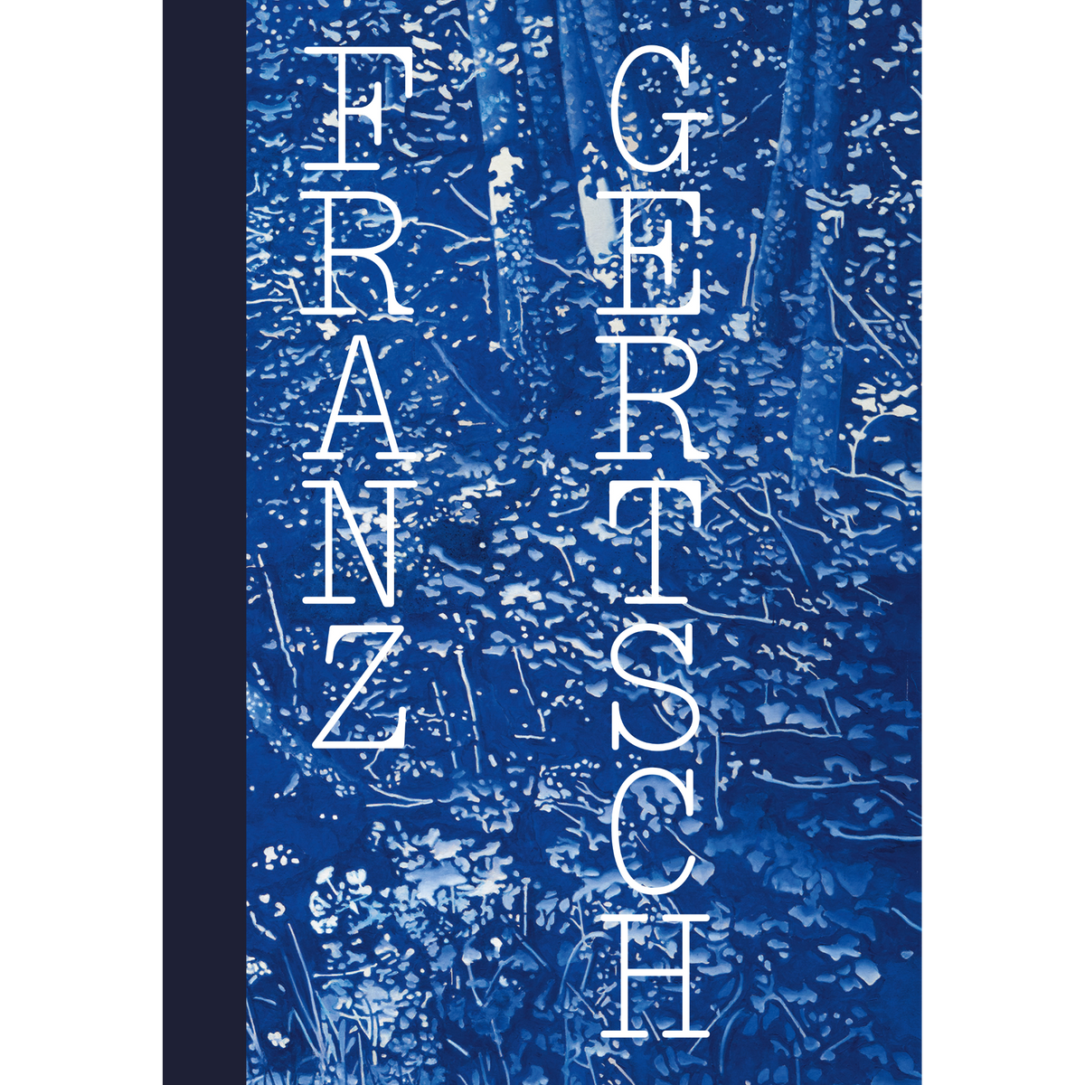 Coverbild Franz Gertsch. Blow-Up