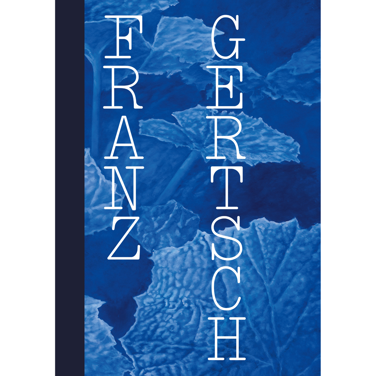 Coverbild Franz Gertsch. Blow-Up