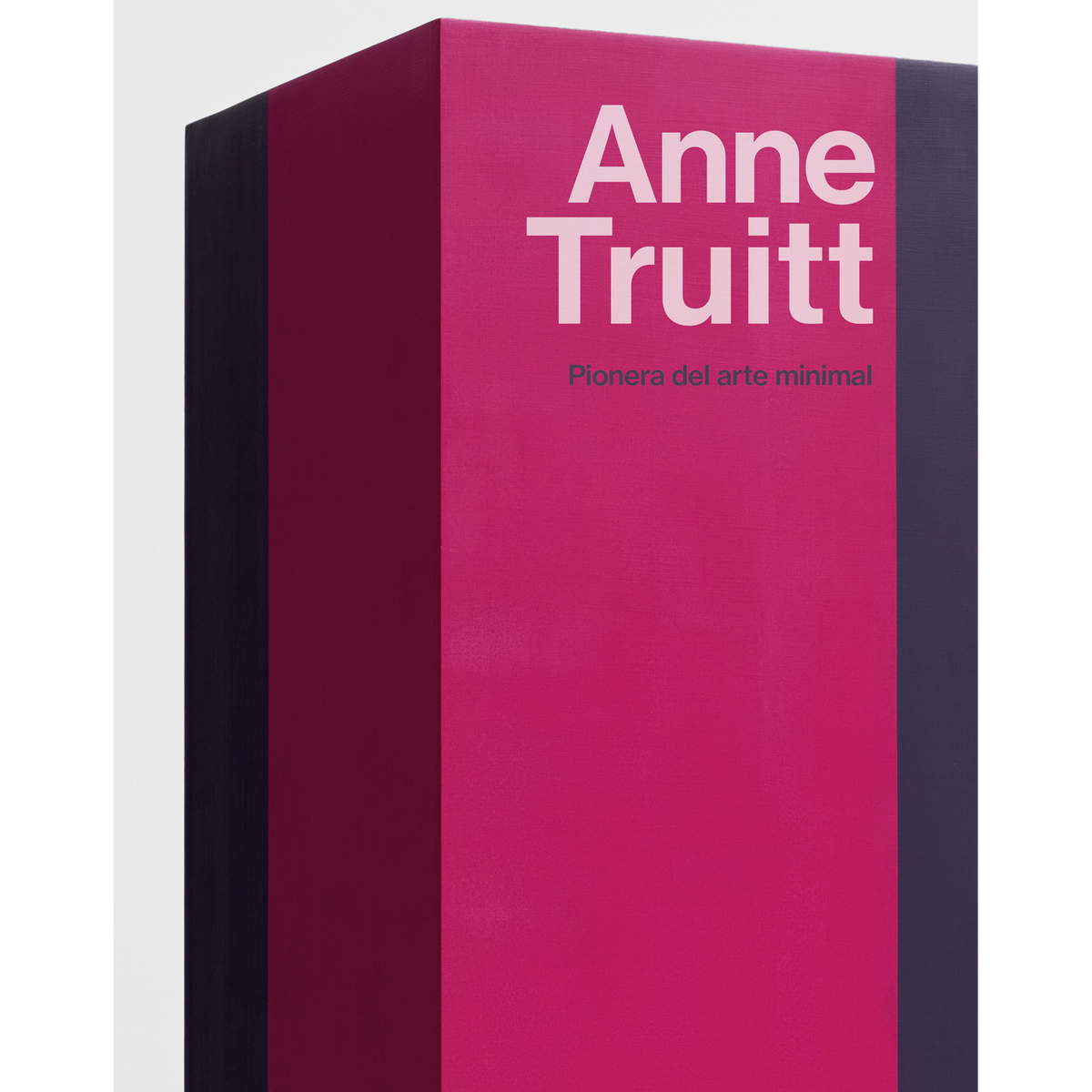 Coverbild Anne Truitt