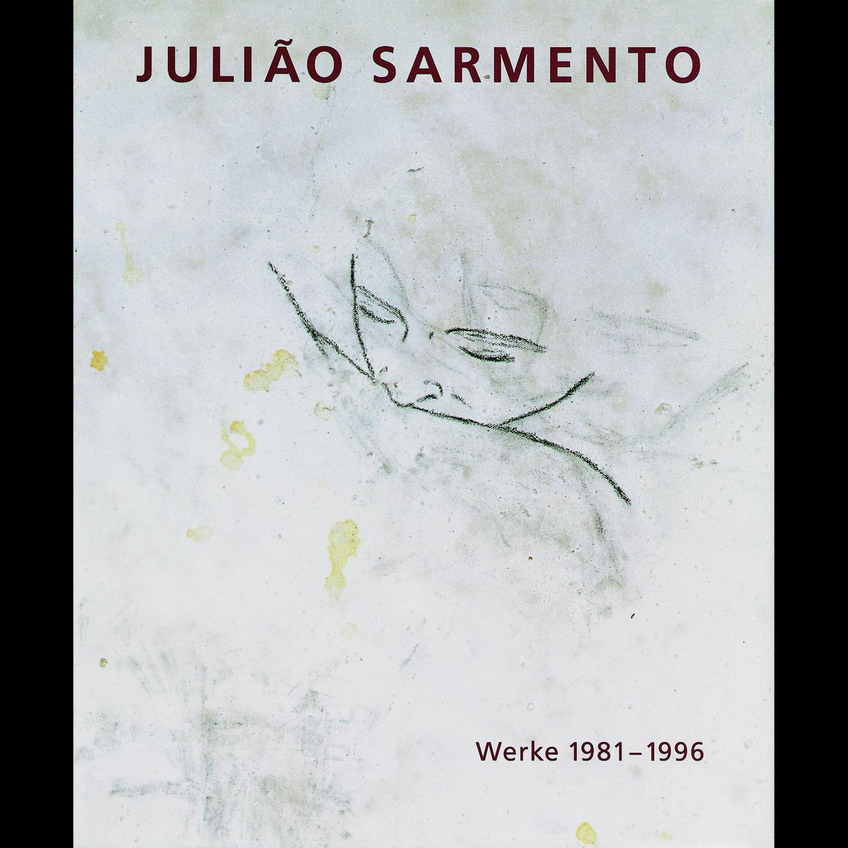 Coverbild Juliao Sarmento