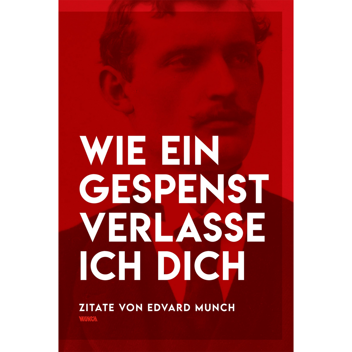 Coverbild Wie ein Gespenst verlasse ich dich