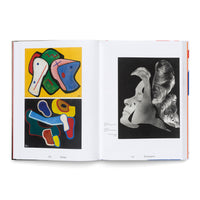 Raoul Hausmann (1886-1971). Vision. Provokation. Dada.