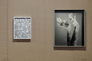 Lisa Oppenheim: The Eternal Substitute