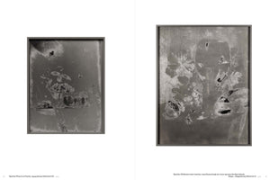 Lisa Oppenheim: The Eternal Substitute