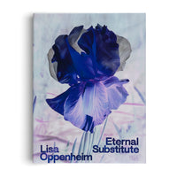 Lisa Oppenheim: The Eternal Substitute