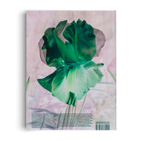 Lisa Oppenheim: The Eternal Substitute