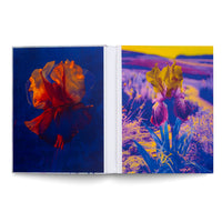 Lisa Oppenheim: The Eternal Substitute