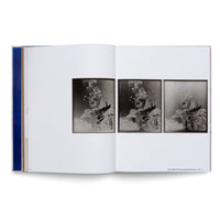 Lisa Oppenheim: The Eternal Substitute