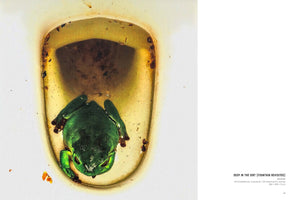 Rolf Walz. Blind Spot Bias