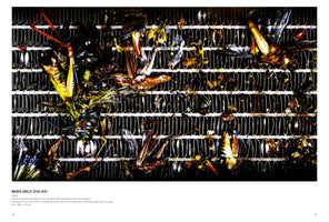 Rolf Walz. Blind Spot Bias