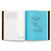 Leiko Ikemura. Motherscape