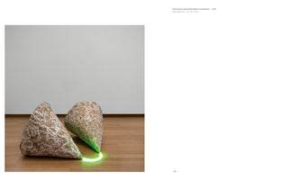 Jan Dibbets 1966 - 1976