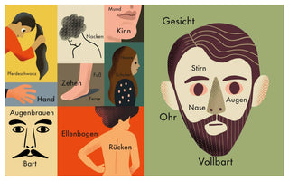 Eine Collage aus Illustrationen, die verschiedene menschliche Körperteile mit ihren deutschen Namen beschriftet. Ein großes Bild auf der rechten Seite zeigt ein Gesicht mit Stirn, Augen, Nase, Ohr und Vollbart. Kleinere Bilder auf der linken Seite illustrieren Pferdeschwanz, Nacken, Mund, Kinn, Haare, Schulter, Hand, Fuß, Zehen, Ferse, Augenbrauen, Bart, Ellenbogen und Rücken.