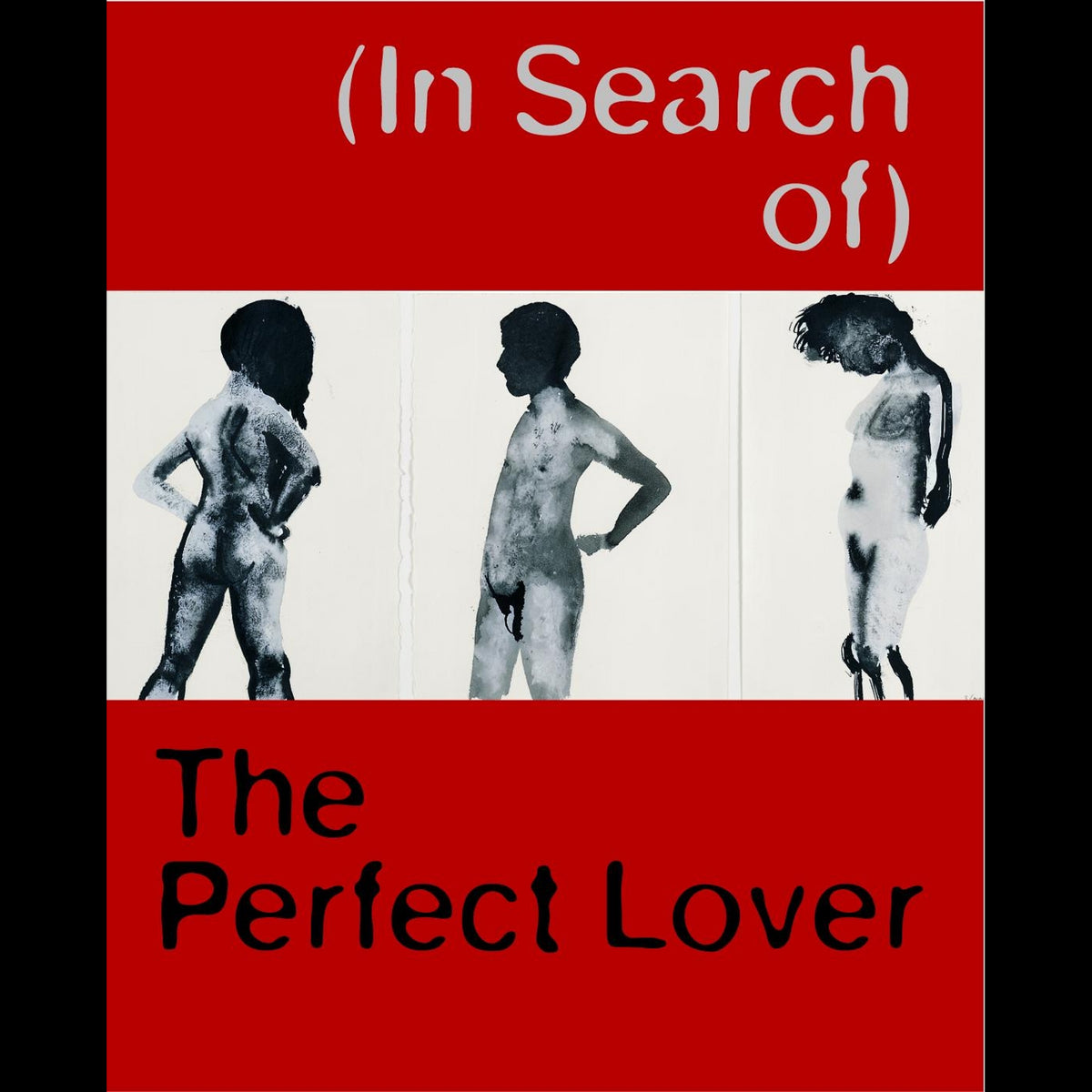 Coverbild (In Search of) The Perfect Lover