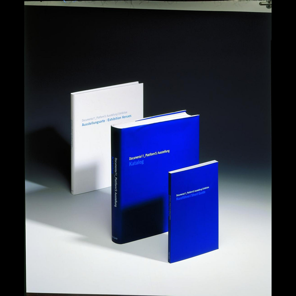 Coverbild Das Documenta11-Paket