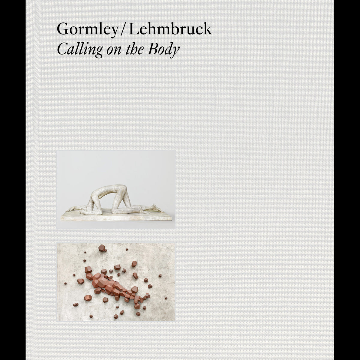 Coverbild Gormley / Lehmbruck