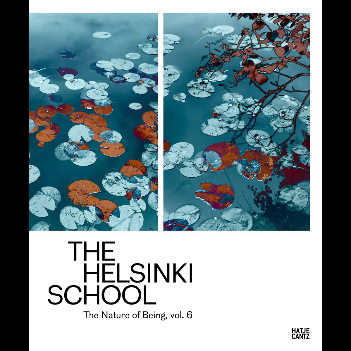 Coverbild The Helsinki School
