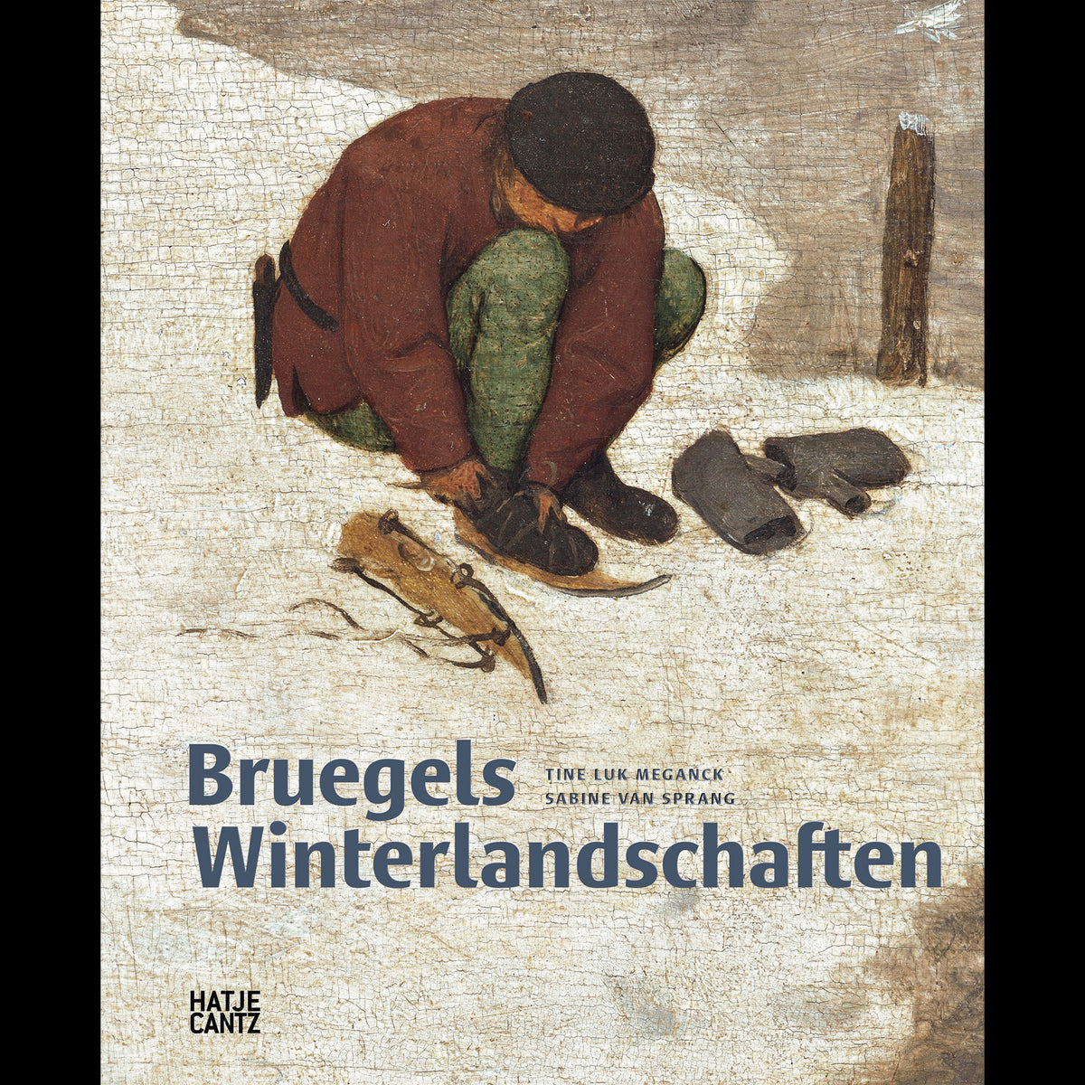 Coverbild Bruegels Winterlandschaften