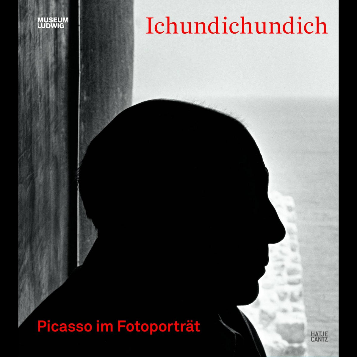 Coverbild Ichundichundich