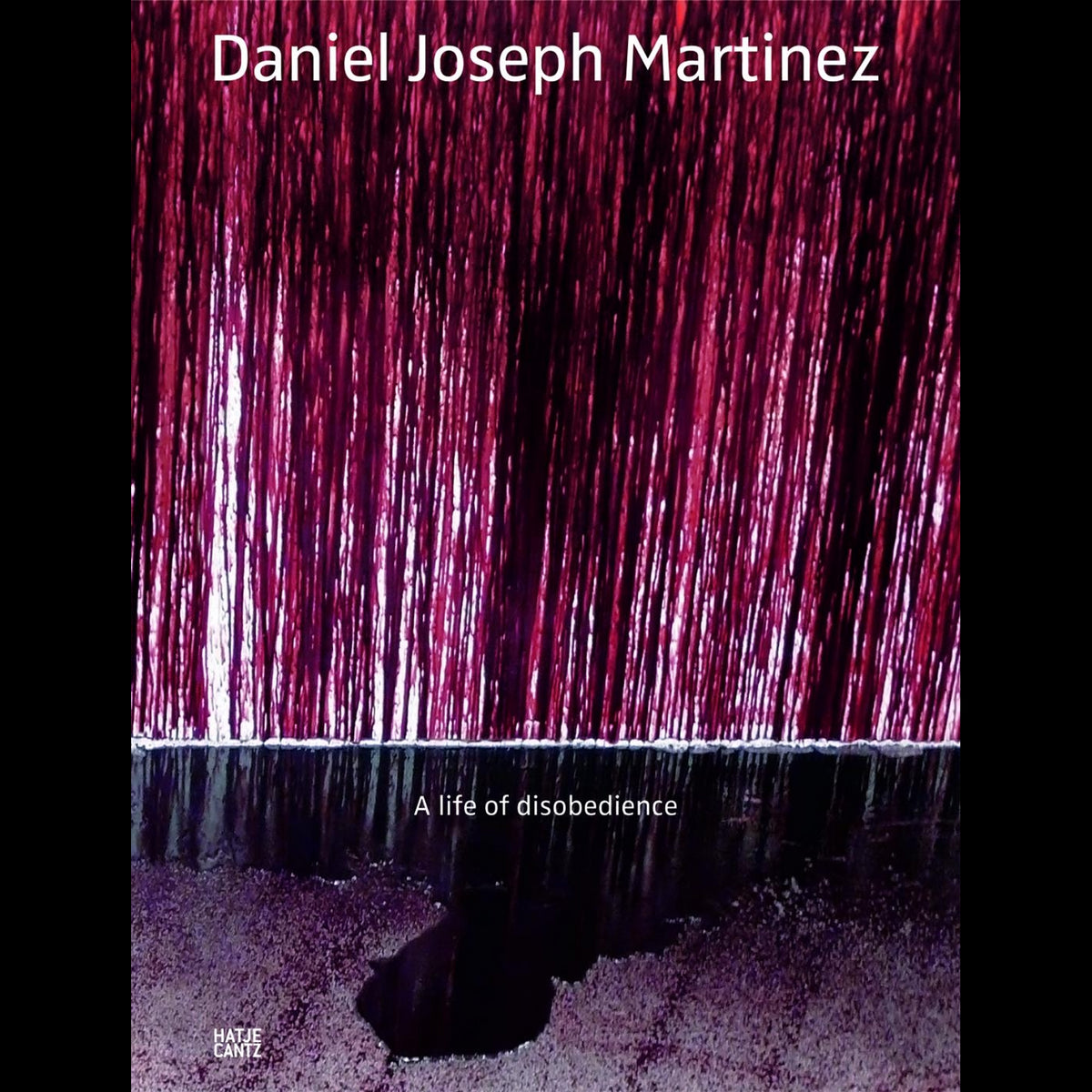 Coverbild Daniel Joseph Martinez