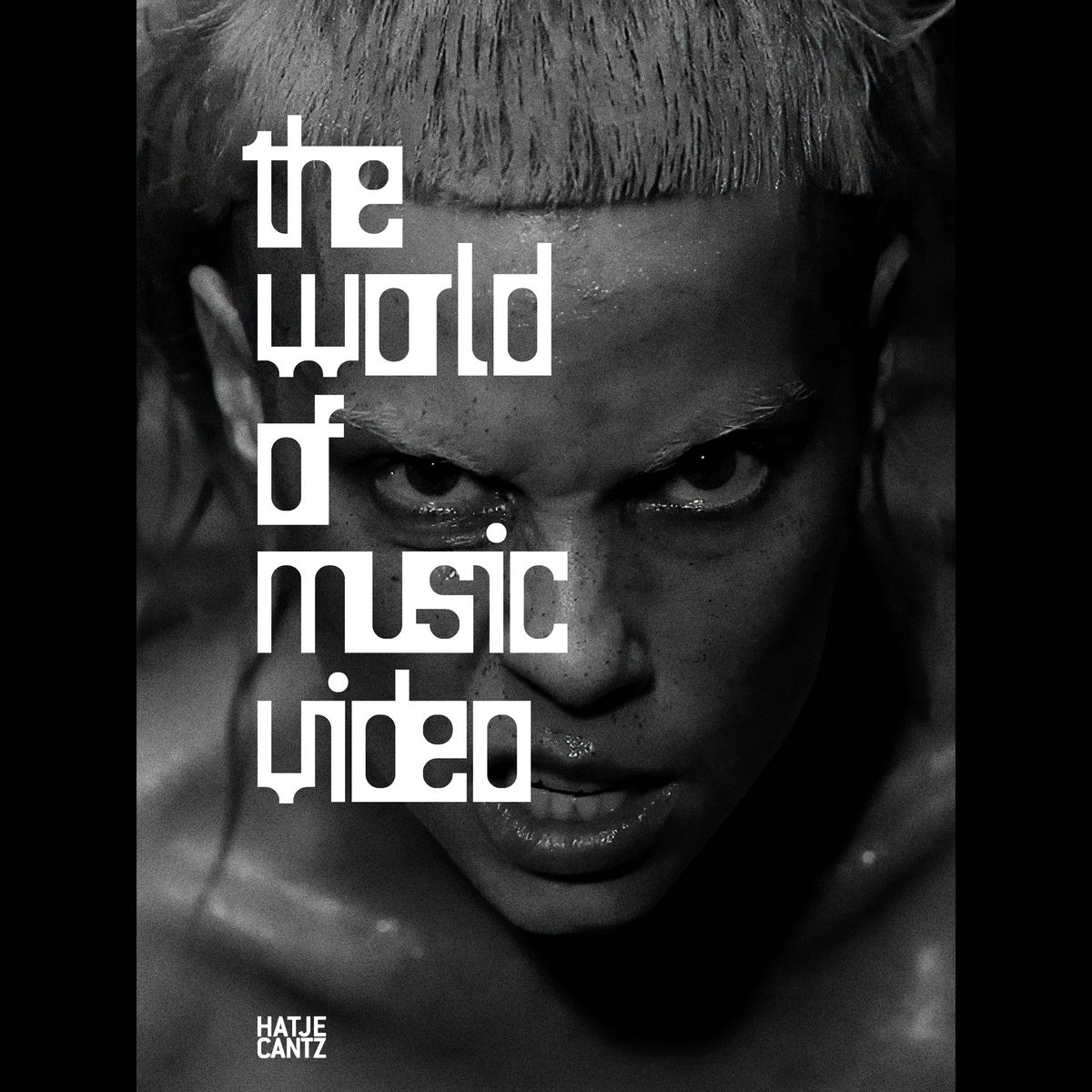 Coverbild The World of Music Video