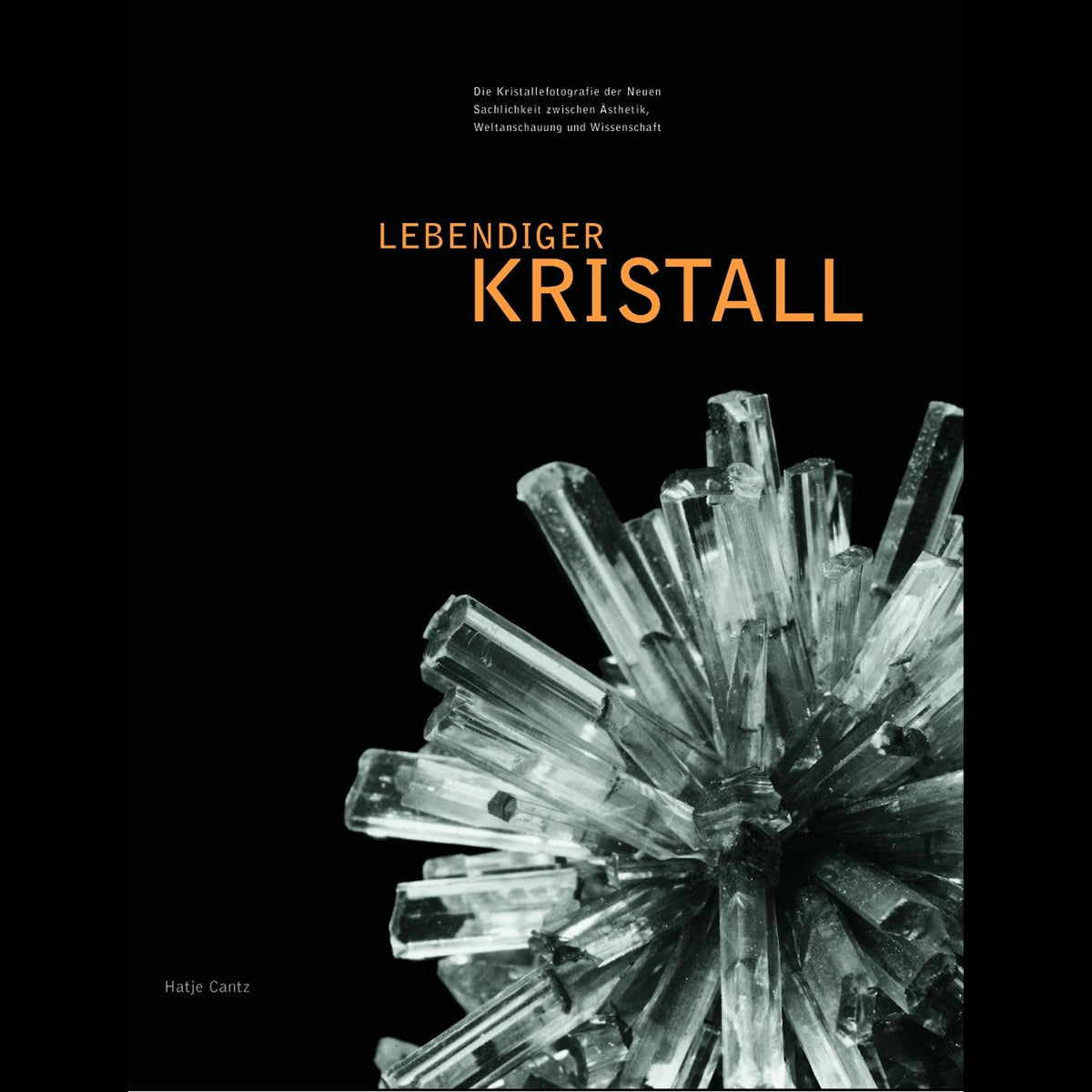 Coverbild Lebendiger Kristall