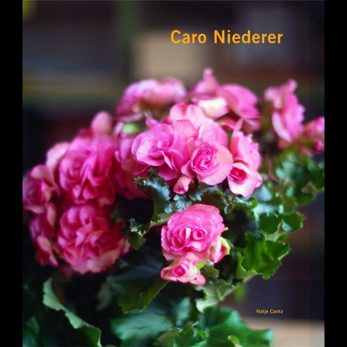 Coverbild Caro Niederer
