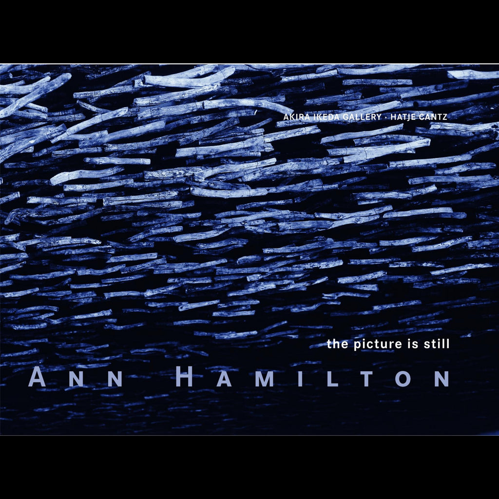 Ann Hamilton