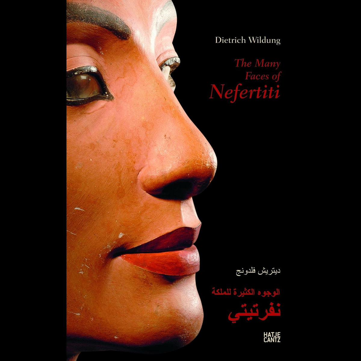 Coverbild The Many Faces of Nefertiti